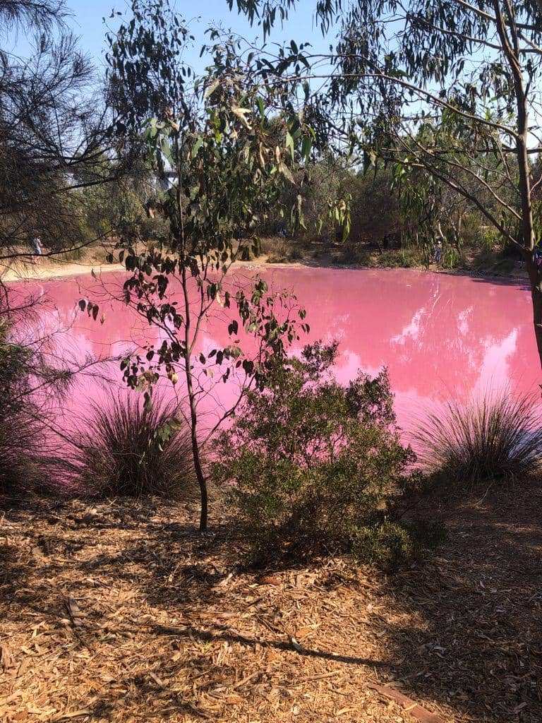 potret momen unik di Melbourne (reddit.com/user/Dadadaism)