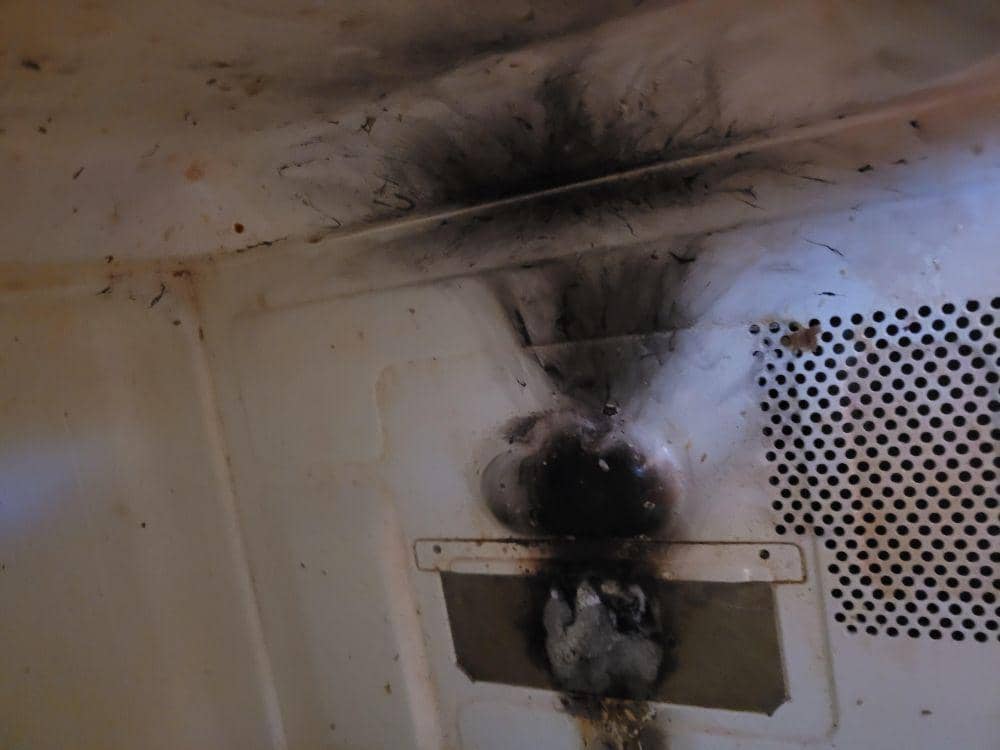 potret momen apes pakai microwave (reddit.com/user/whisperskeep)