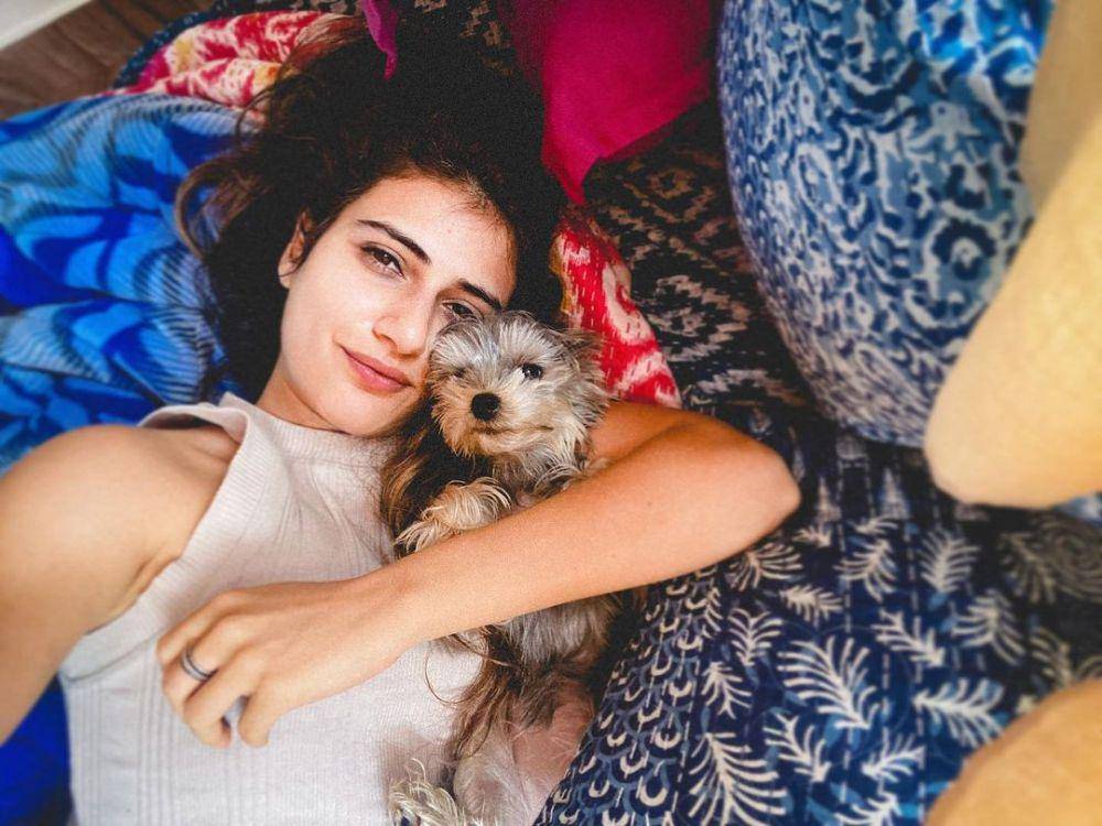 Fatima Sana Shaikh dan anjingnya (instagram.com/fatimasanashaikh)