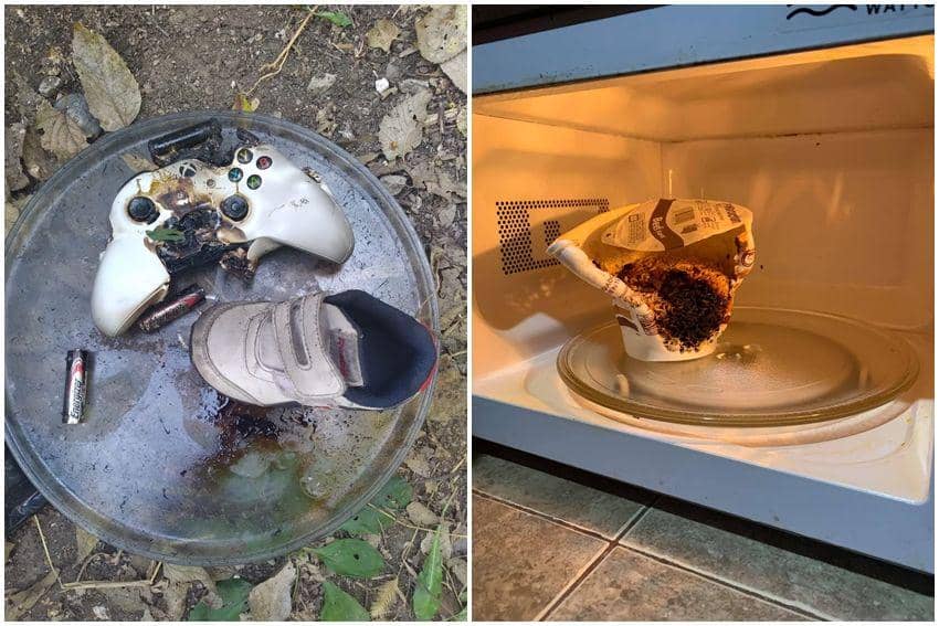 10 Potret Momen Apes pas Lagi Pakai Microwave, Gosong Semua!