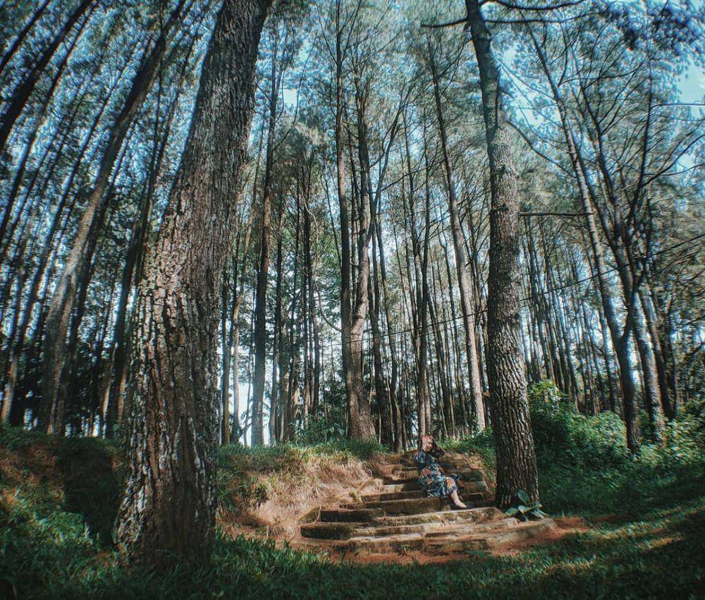 Wisata Bukit Baros Sukabumi