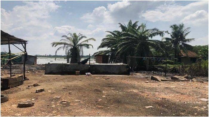 ( Ilustrasi ikan seluang) IDN Times/Istimewa