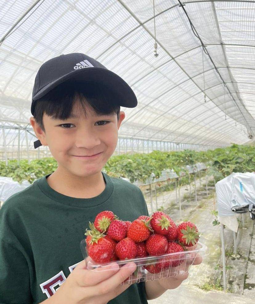 Rafathar petik stroberi di Jepang (instagram.com/raffinagita1717)