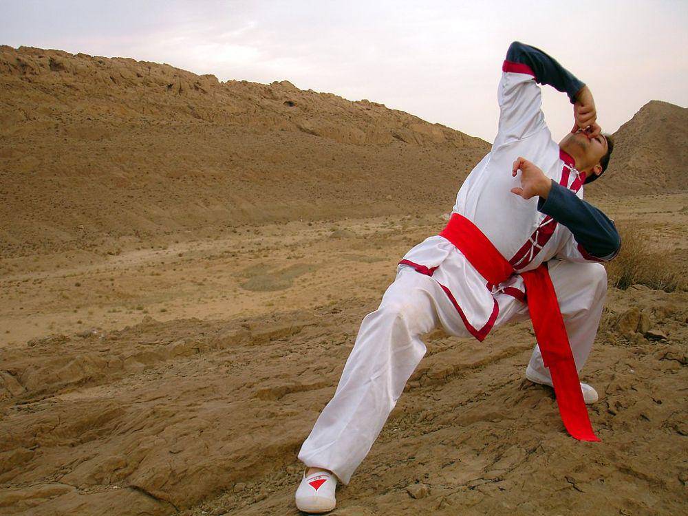 ilustrasi kung fu (commons.wikimedia.org/Mostafameraji)