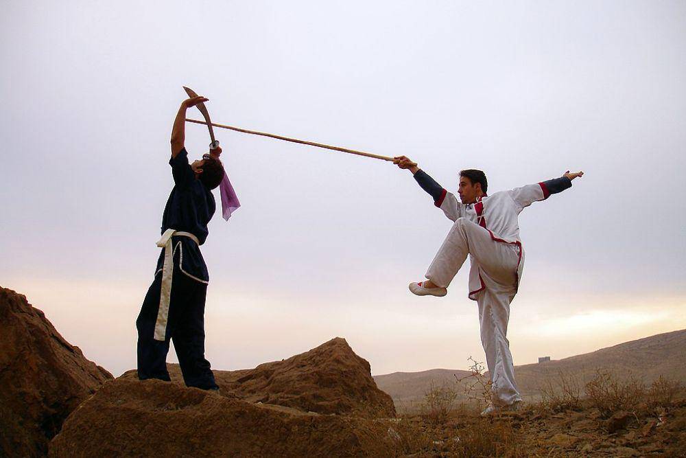 ilustrasi kung fu (commons.wikimedia.org/Mostafameraji)