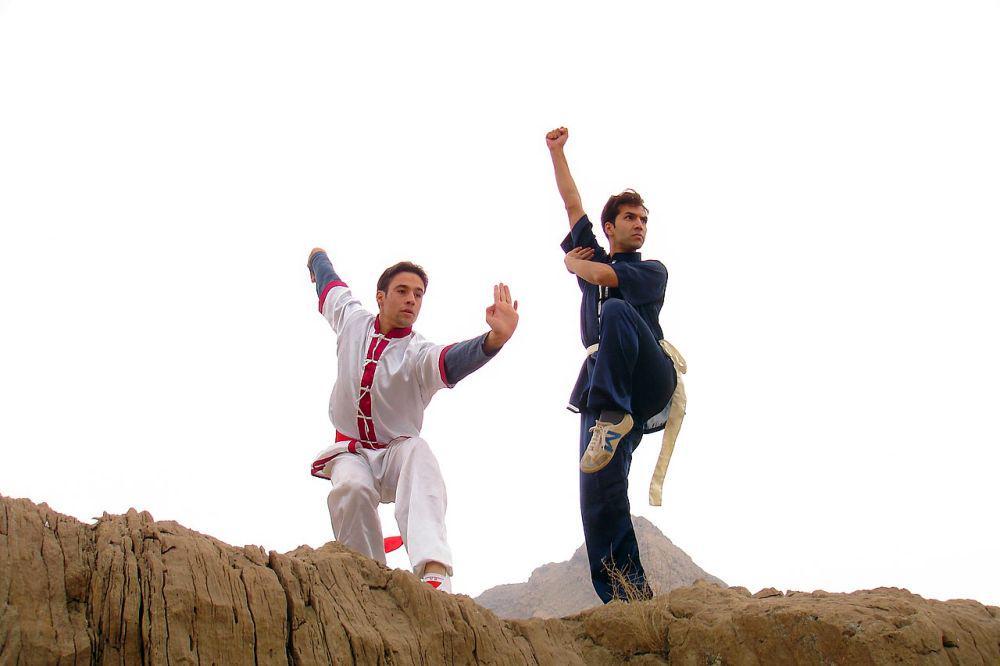 Sejarah Kung Fu, Ilmu Bela Diri dari Negara Tirai Bambu