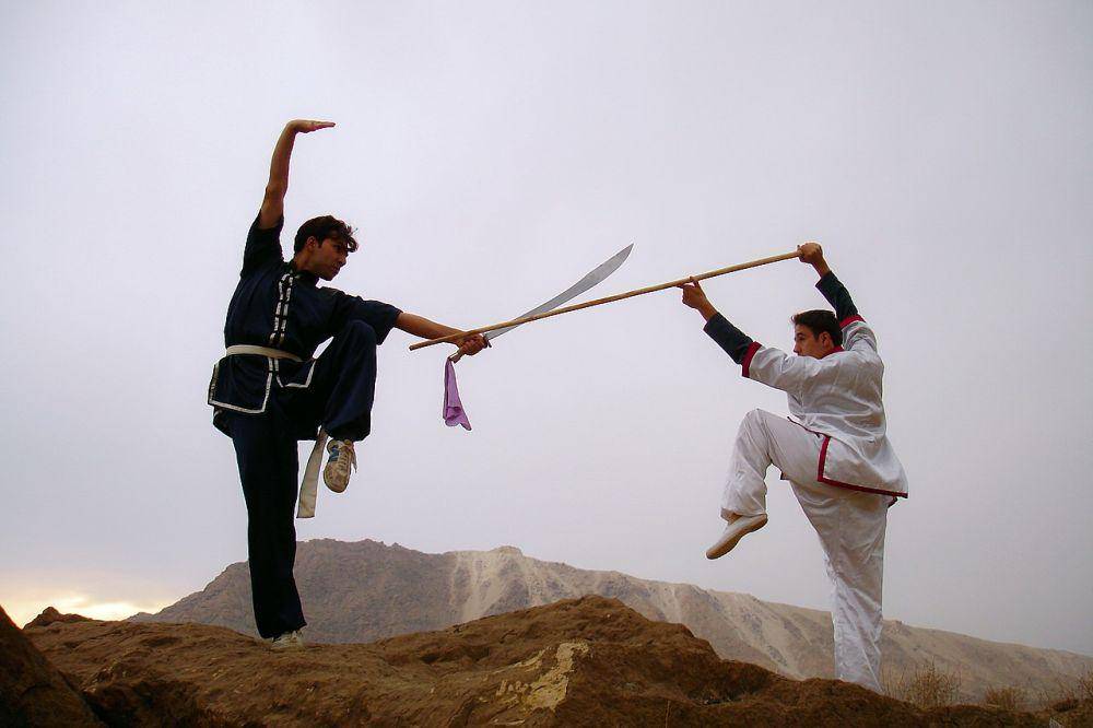 ilustrasi kung fu (commons.wikimedia.org/Mostafameraji)