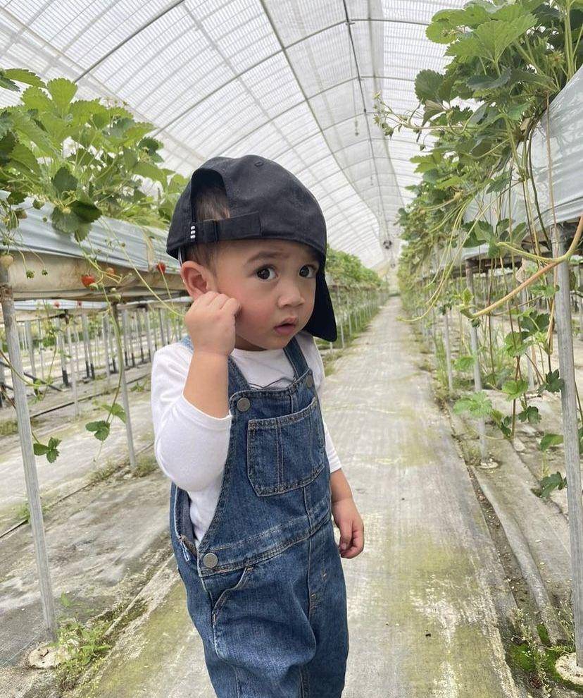 Rayyanza petik stroberi di Jepang (instagram.com/raffinagita1717)