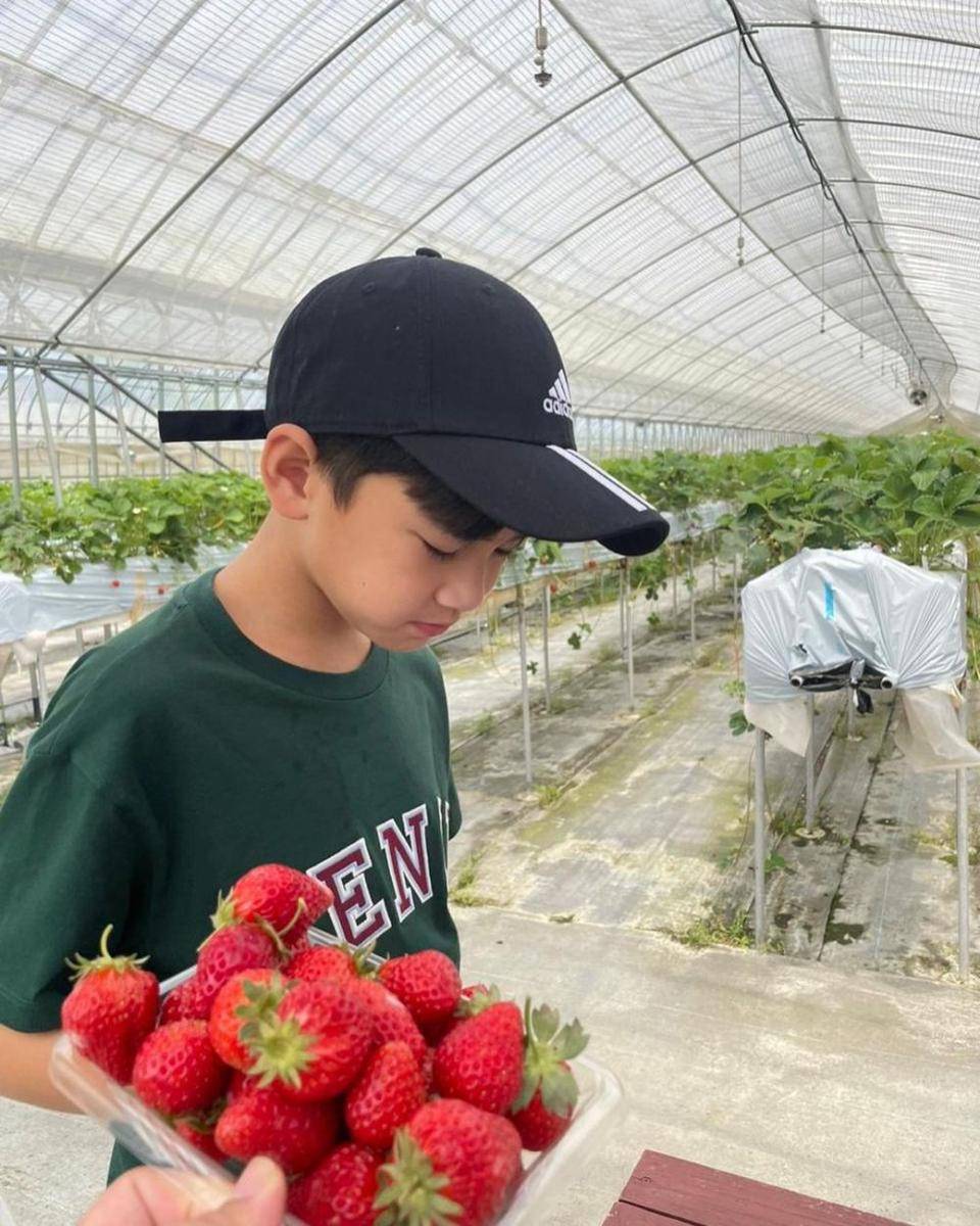 potret Rafathar dan Rayyanza panen stroberi di Jepang (instagram.com/raffinagita1717)