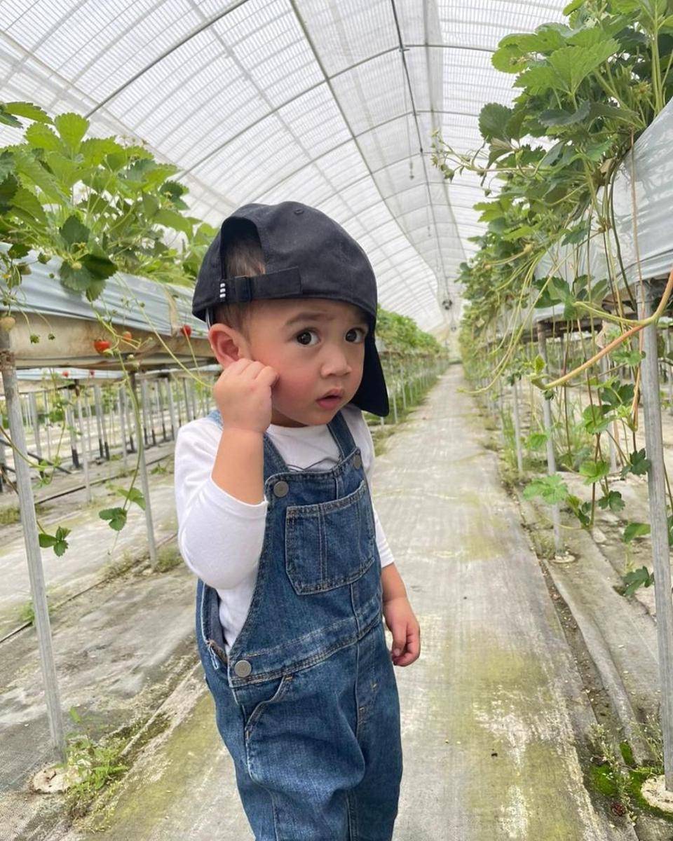potret Rafathar dan Rayyanza panen stroberi di Jepang (instagram.com/raffinagita1717)