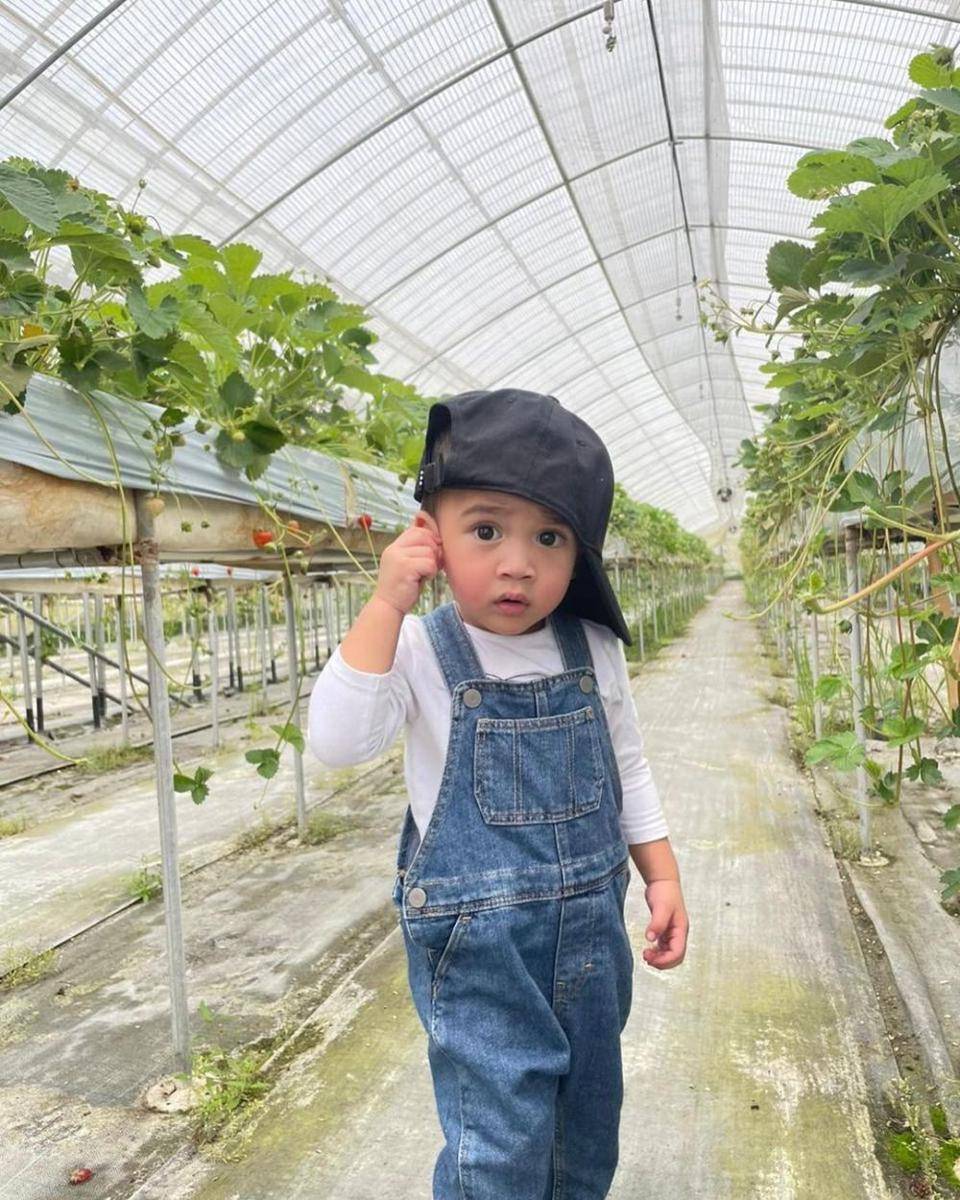 potret Rafathar dan Rayyanza panen stroberi di Jepang (instagram.com/raffinagita1717)