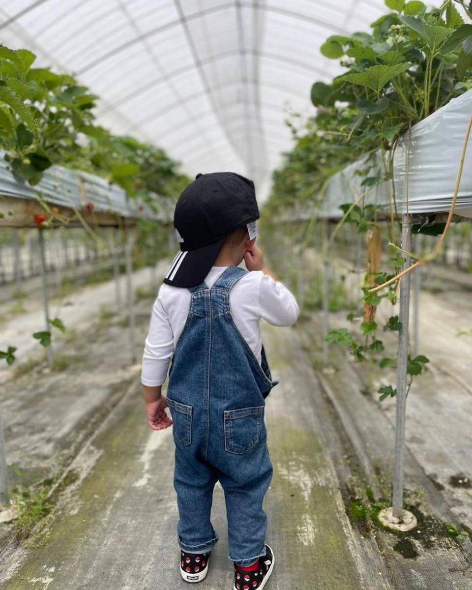 potret Rafathar dan Rayyanza panen stroberi di Jepang (instagram.com/raffinagita1717)