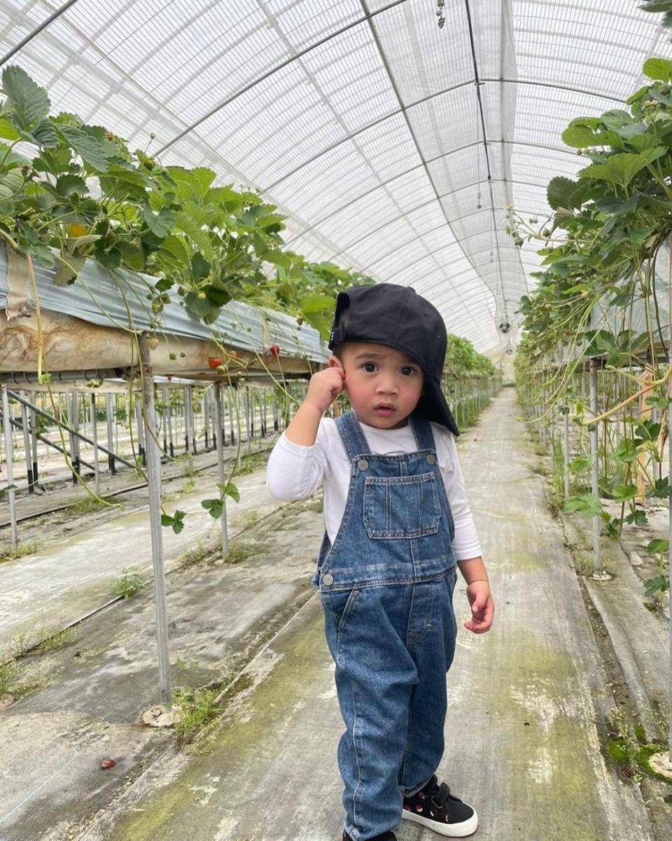 potret Rafathar dan Rayyanza panen stroberi di Jepang (instagram.com/raffinagita1717)