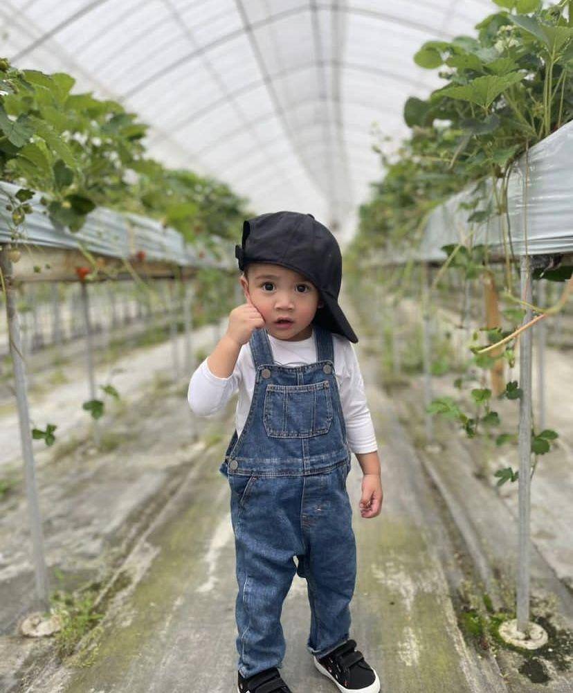 Rayyanza petik stroberi di Jepang (instagram.com/raffinagita1717)