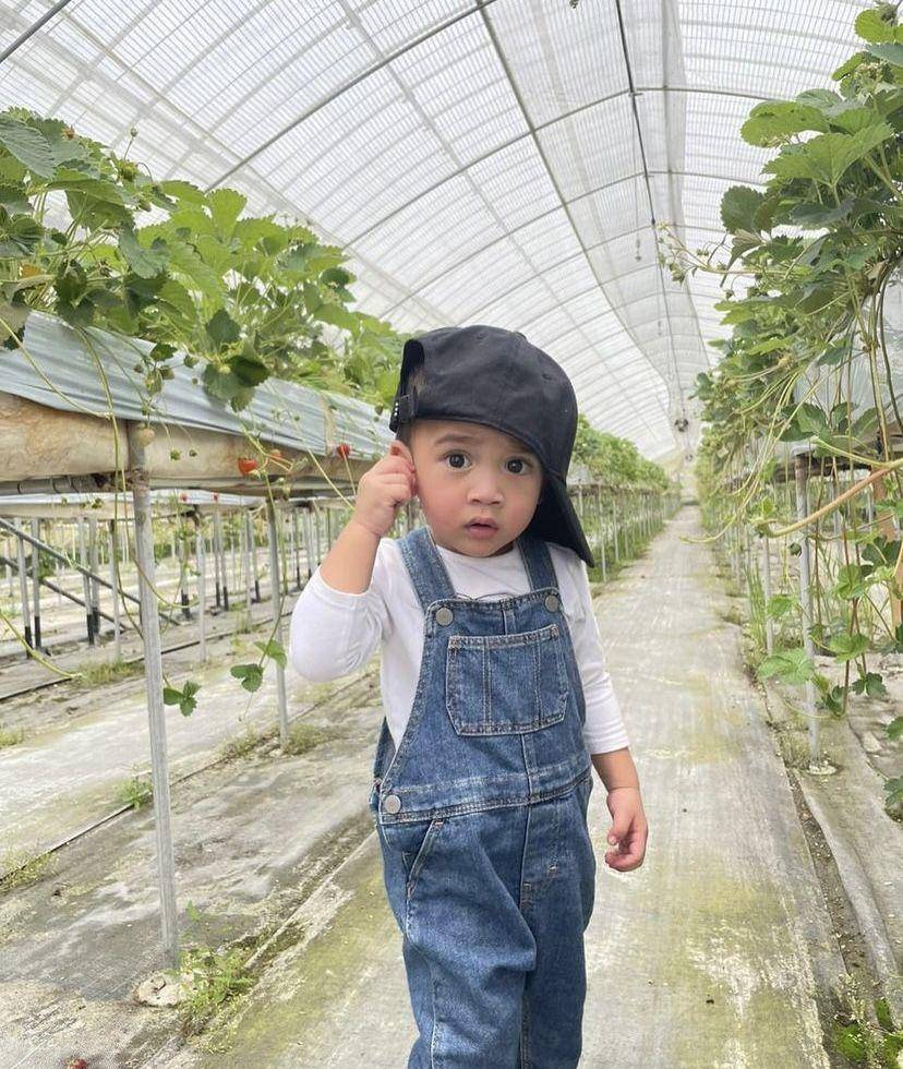 Rayyanza petik stroberi di Jepang (instagram.com/raffinagita1717)