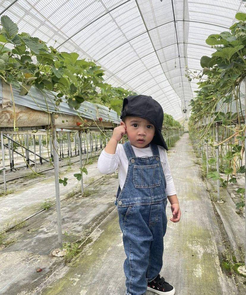 Rayyanza petik stroberi di Jepang (instagram.com/raffinagita1717)