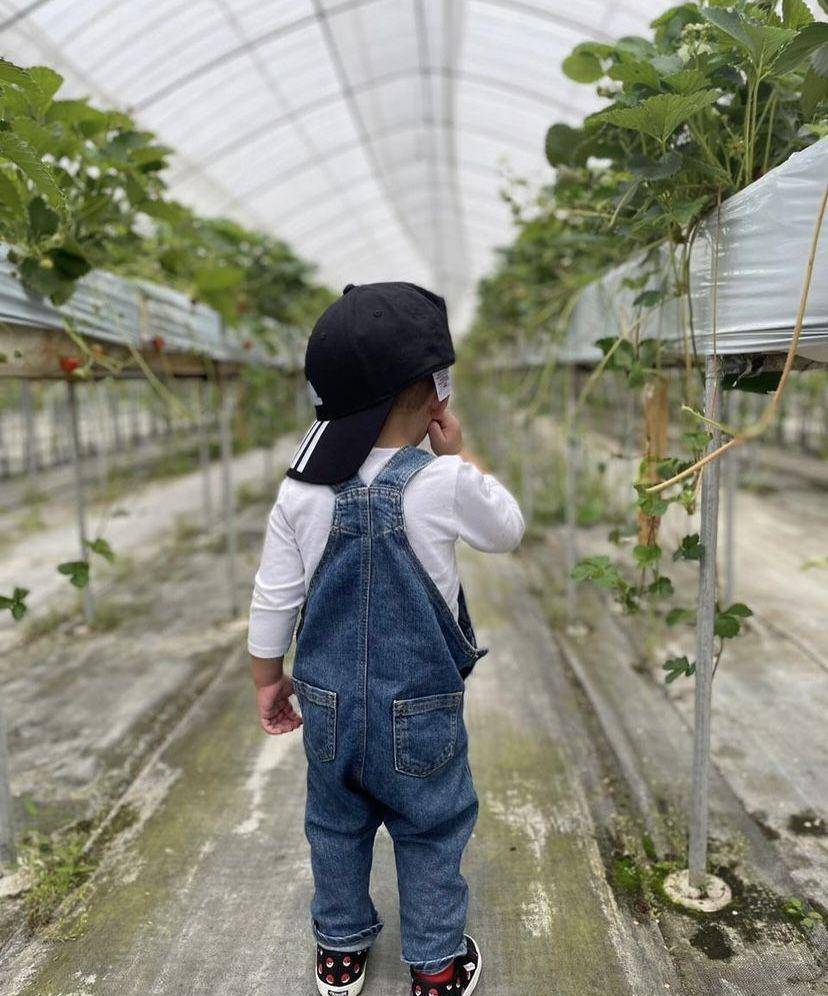 Rayyanza petik stroberi di Jepang (instagram.com/raffinagita1717)