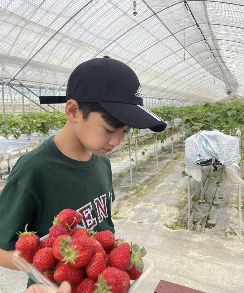 Rafathar petik stroberi di Jepang (instagram.com/raffinagita1717)