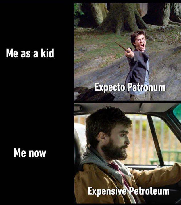 meme realita kehidupan orang dewasa (twitter.com/DeepBlueCrypto)