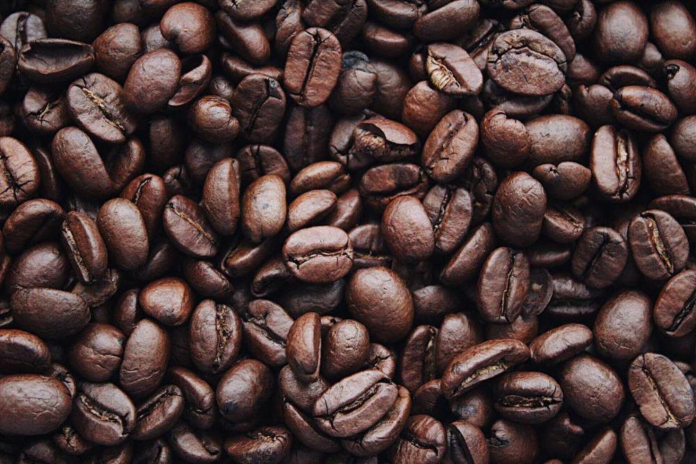 6 Fakta Unik Kopi, Termahal Berasal dari Indonesia!
