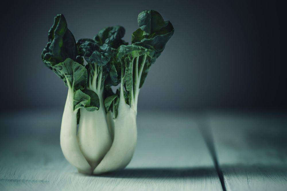 ilustrasi bok choy (unsplash.com/@jasmine_waheed)