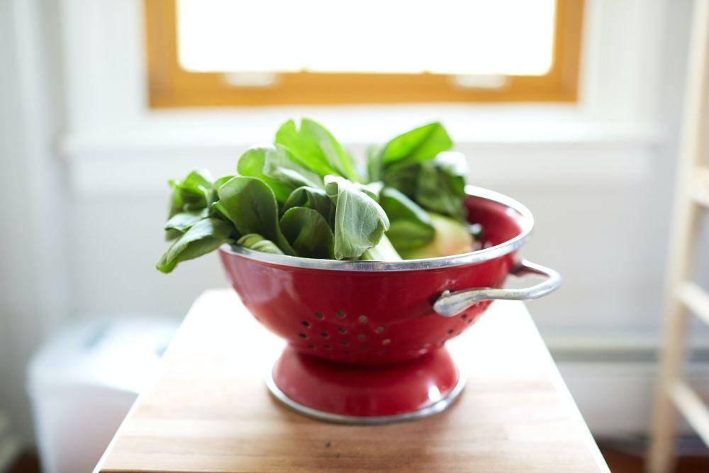 ilustrasi bok choy (unsplash.com/@davidtoddmccarty)