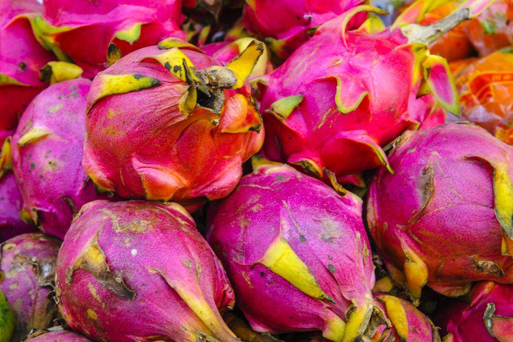 ilustrasi buah naga (unsplash.com/@alschim)