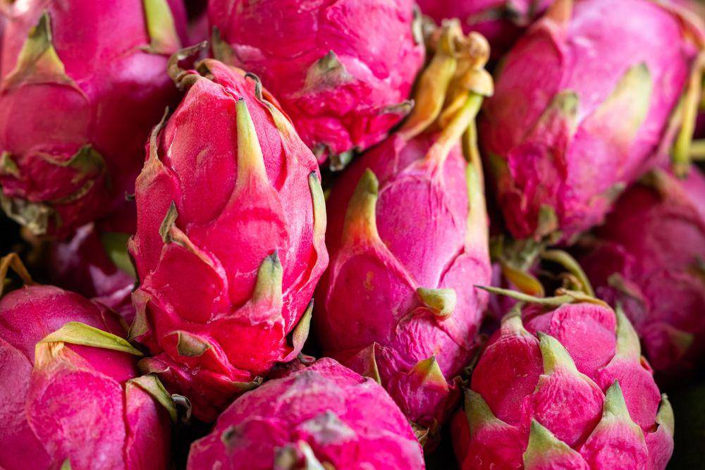 ilustrasi buah naga (unsplash.com/@enginakyurt)