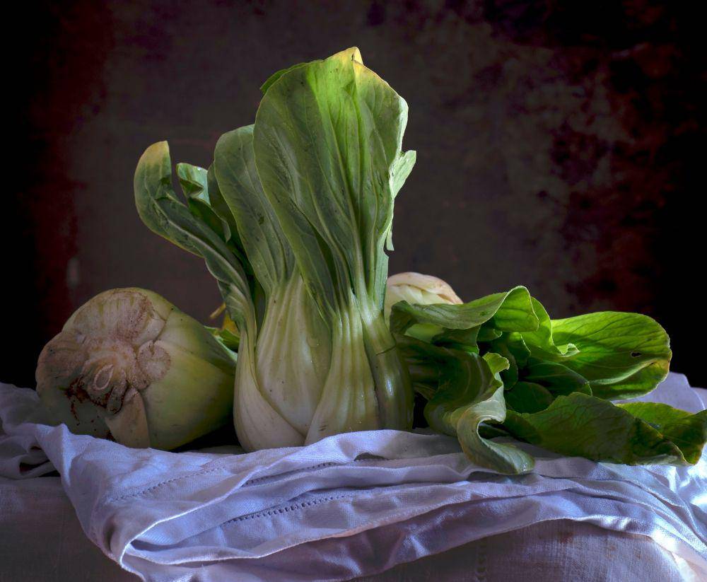 ilustrasi bok choy (unsplash.com/@donricardo)