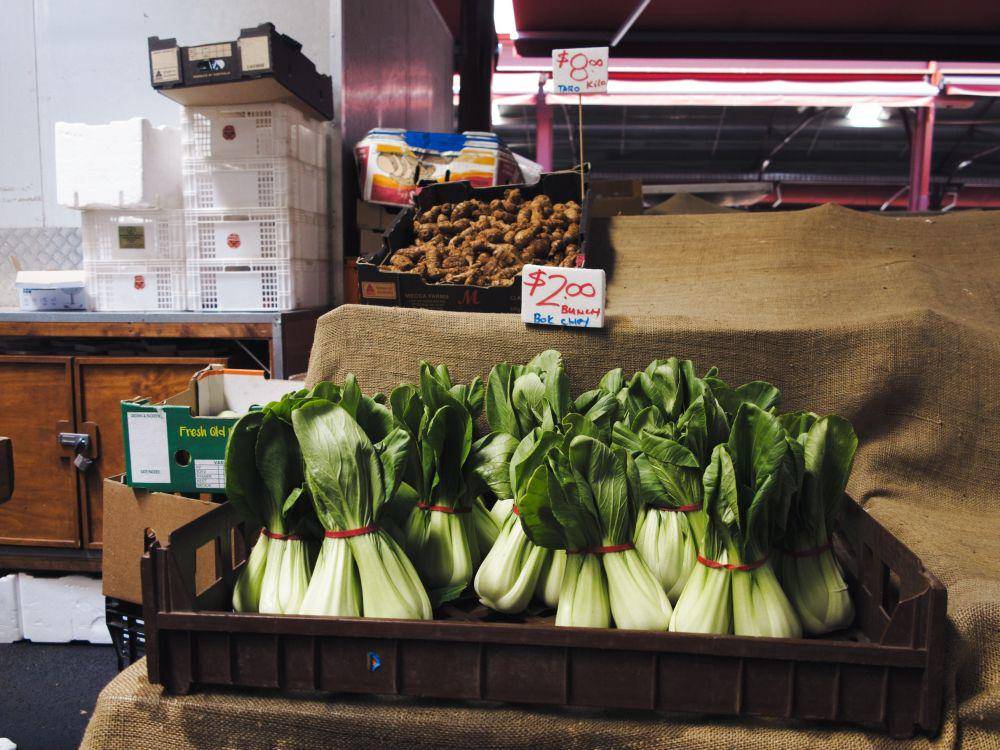 ilustrasi bok choy (unsplash.com/@lala791018)
