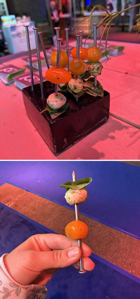 penyajian makanan restoran mewah yang absurd (reddit.com/MrsSylvney)