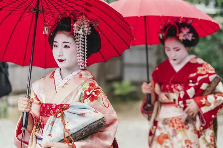 Geisha. (pixta)