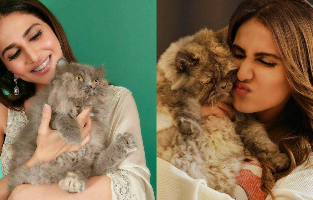 Vaani Kapoor dan kucingnya (instagram.com/_vaanikapoor_)