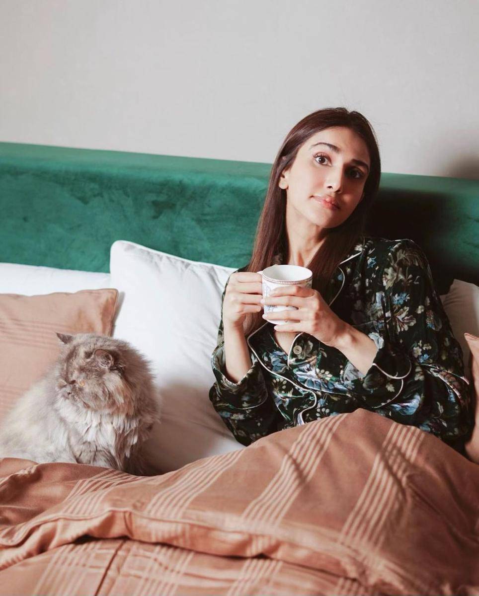 Vaani Kapoor dan kucingnya (instagram.com/_vaanikapoor_)