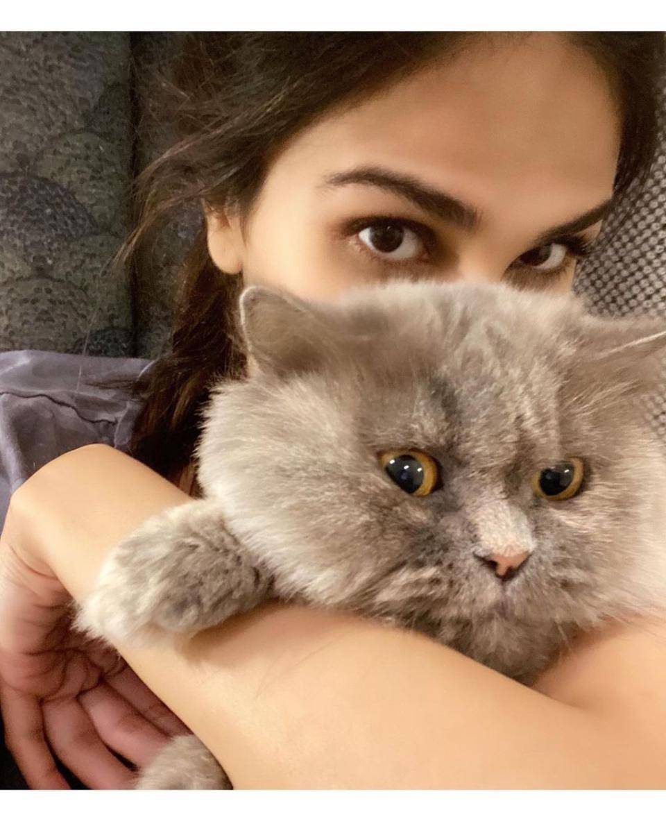 Vaani Kapoor dan kucingnya (instagram.com/_vaanikapoor_)