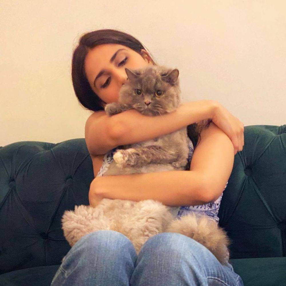 Vaani Kapoor dan kucingnya (instagram.com/_vaanikapoor_)