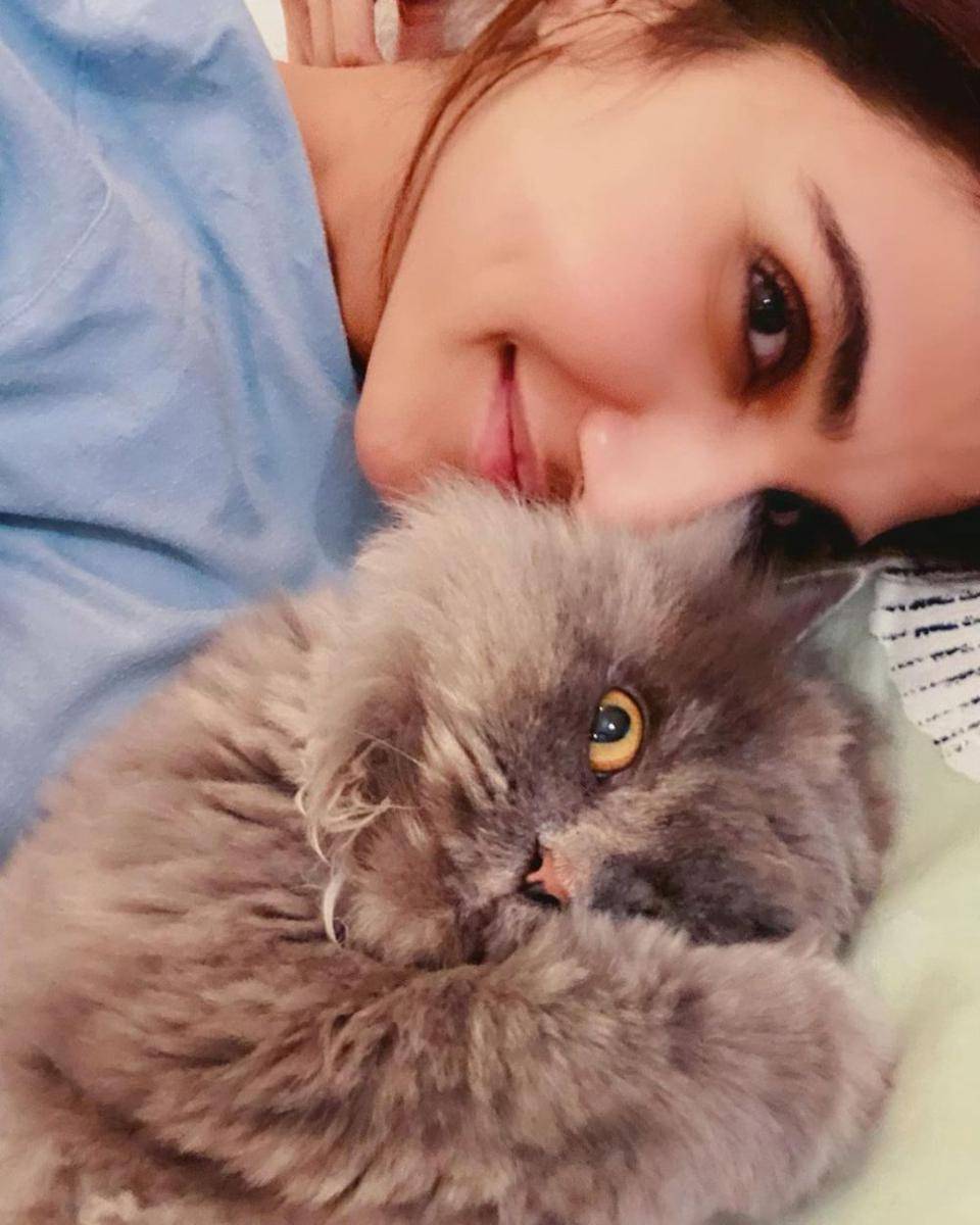 Vaani Kapoor dan kucingnya (instagram.com/_vaanikapoor_)