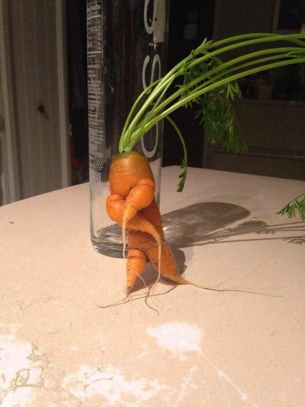 potret sayuran memiliki wajah (twitter.com/davidcoverdale)