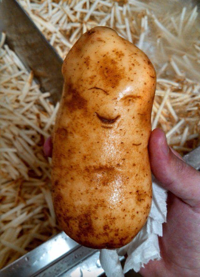 potret sayuran memiliki wajah (twitter.com/jeskeets)