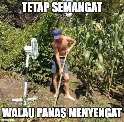 meme cuaca panas di Indonesia (twitter.com/tanyakanrl)