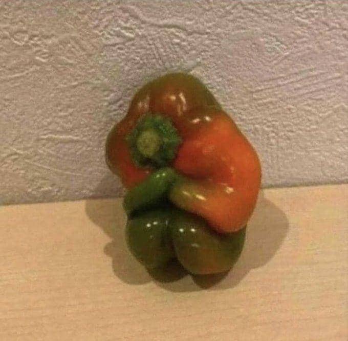 potret sayuran memiliki wajah (twitter.com/salier_99)