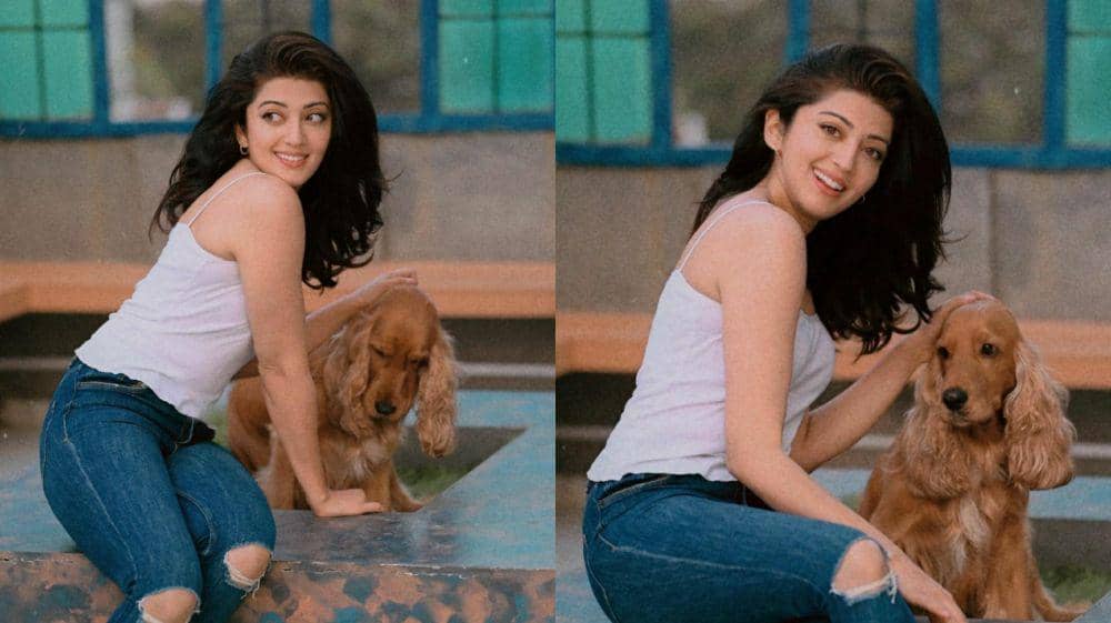7 Potret Lengket Pranitha Subhash dan Anjingnya yang Bernama Whiskey