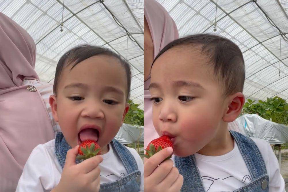 potret Rayyanza makan strawberi (instagram.com/riniperdiyanti)