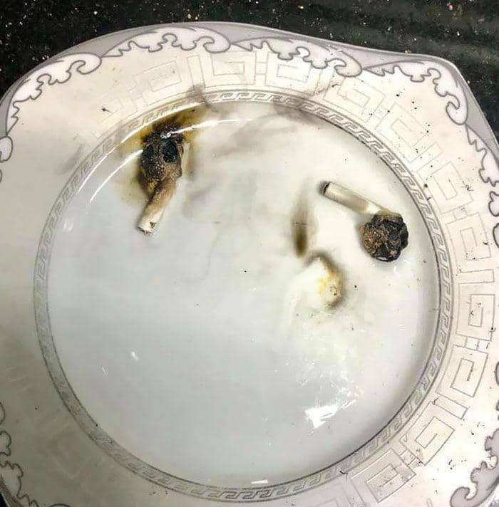 potret barang dimasukkan microwave (reddit.com/deleted)