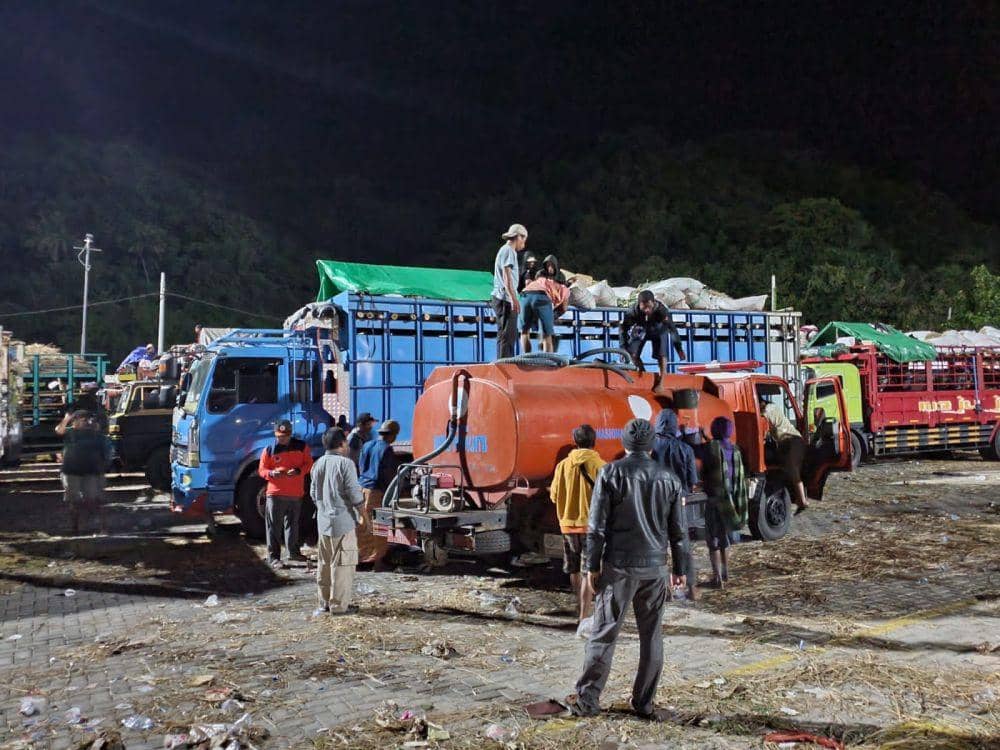Truk Pengangkut 1.350 Sapi Tertahan Pelabuhan Gili Mas Lombok