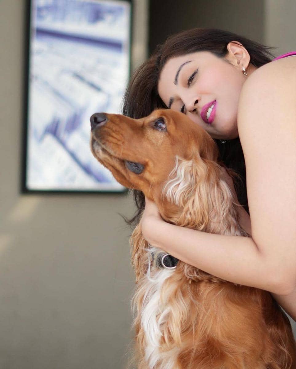 Pranitha Subhash dan anjingnya (instagram.com/pranitha.insta)