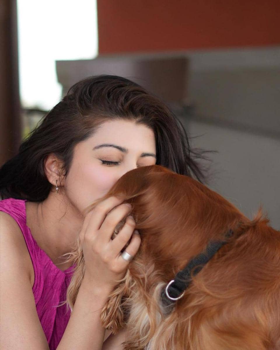 Pranitha Subhash dan anjingnya (instagram.com/pranitha.insta)