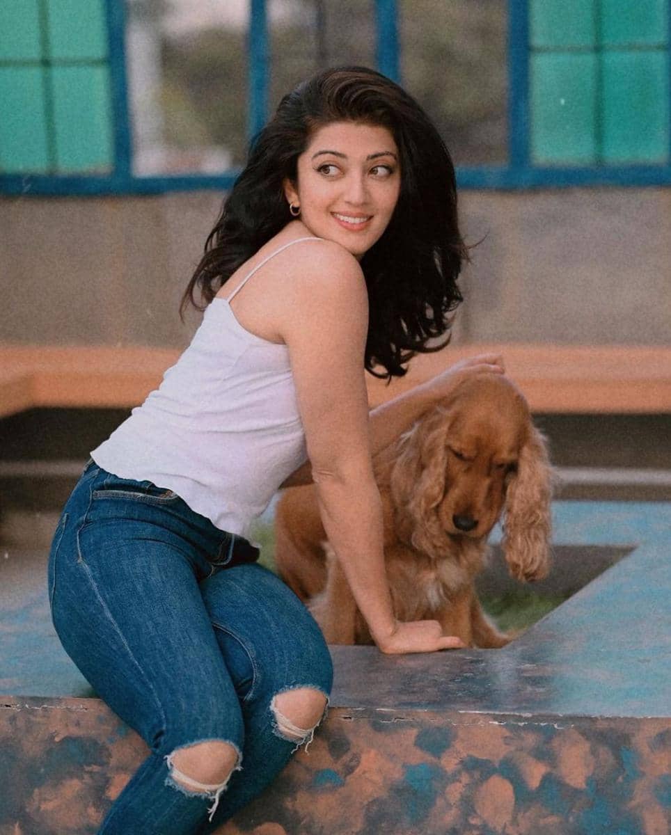 Pranitha Subhash dan anjingnya (instagram.com/pranitha.insta)