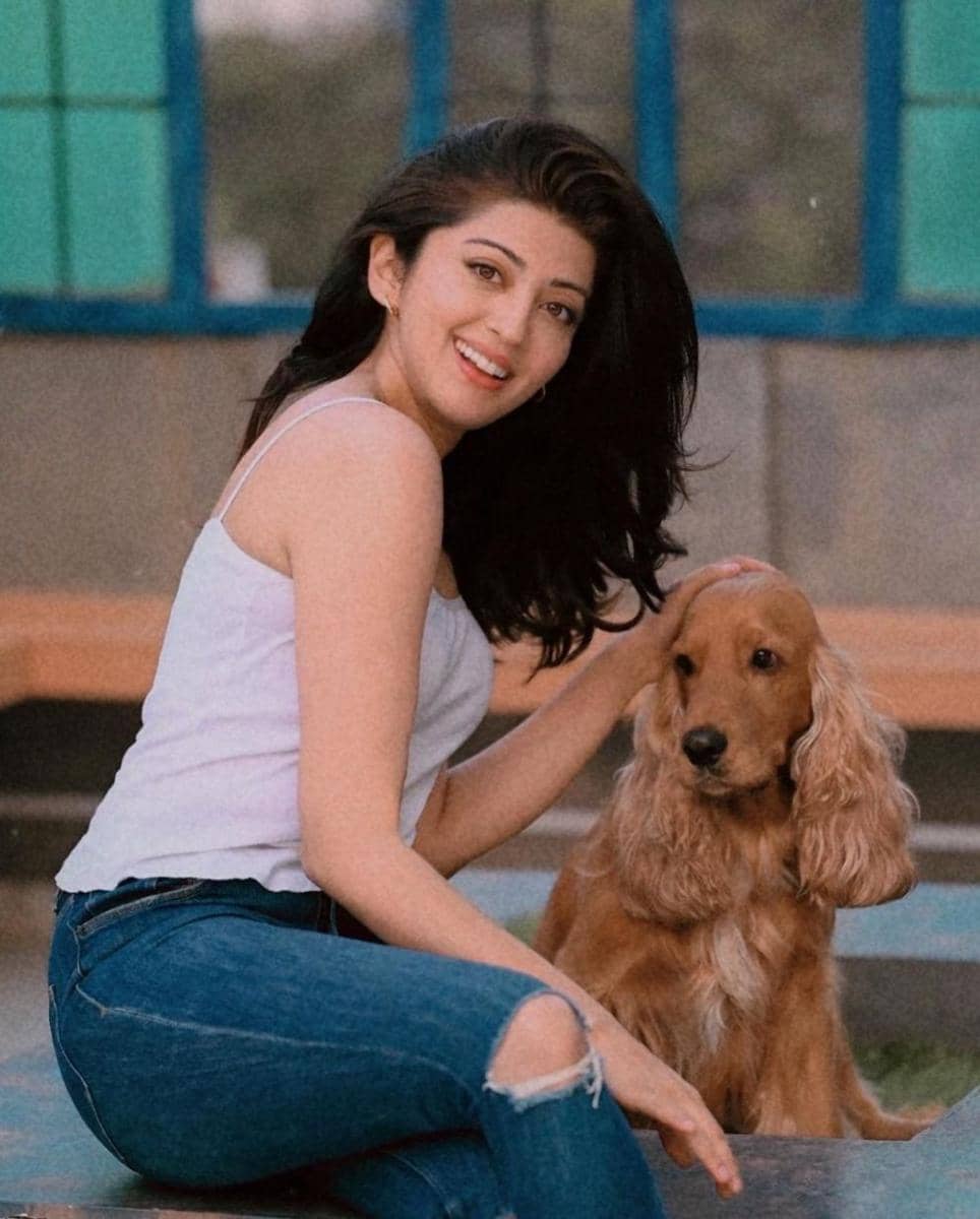 Pranitha Subhash dan anjingnya (instagram.com/pranitha.insta)