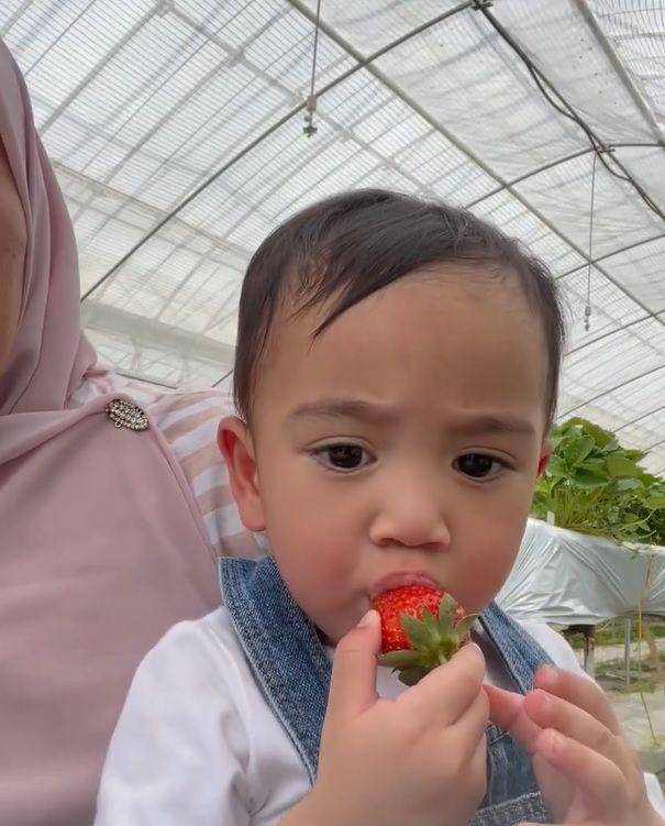 potret Rayyanza makan strawberi (instagram.com/riniperdiyanti)